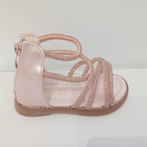 Nu pied rose