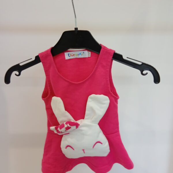 Robe rose